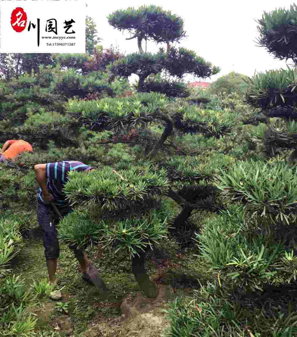 _hɡ_hɬF(xin)؛l(f)Ʒ_h