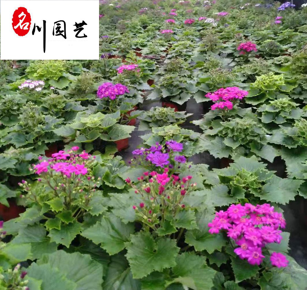 ۃ(yu)|~ձ硢ɶݻl(f)I~l(f)r