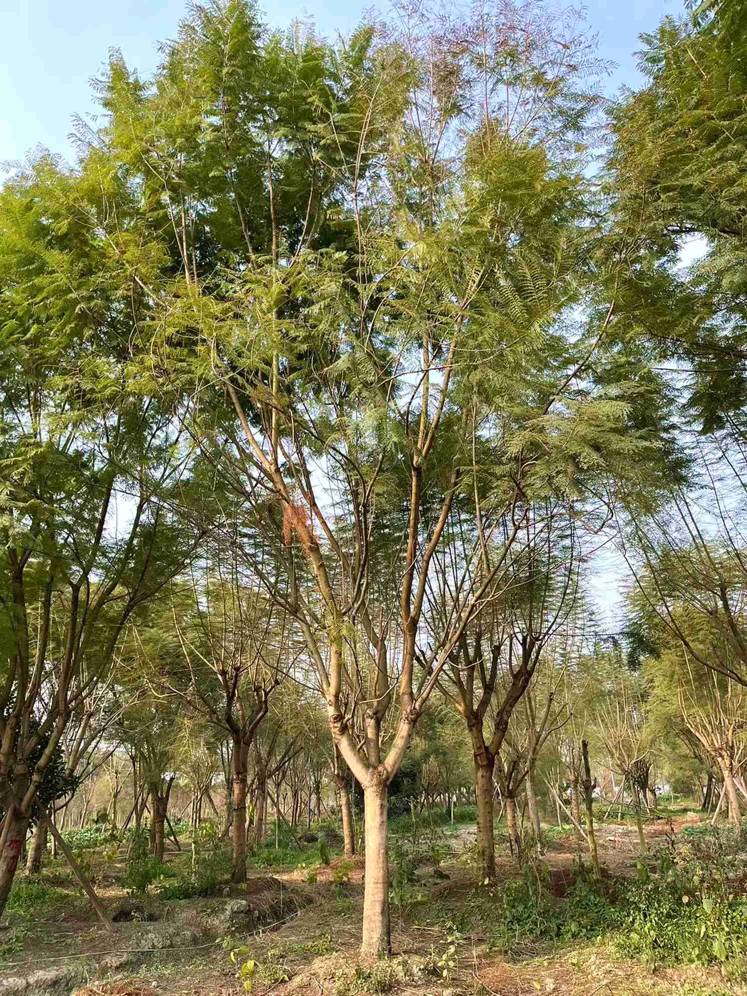 15-30־Ʒ{麡ɶԻԮaN