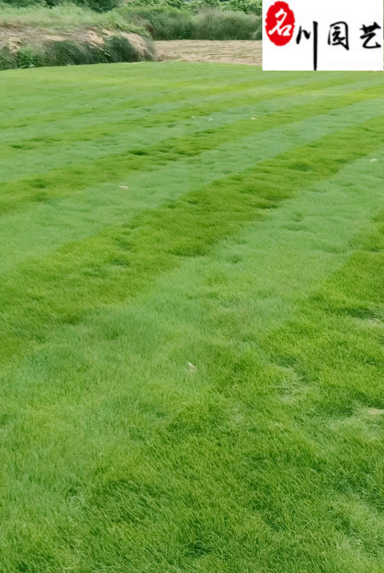 _̖l(f)r񡢳ɶƺr(yu)