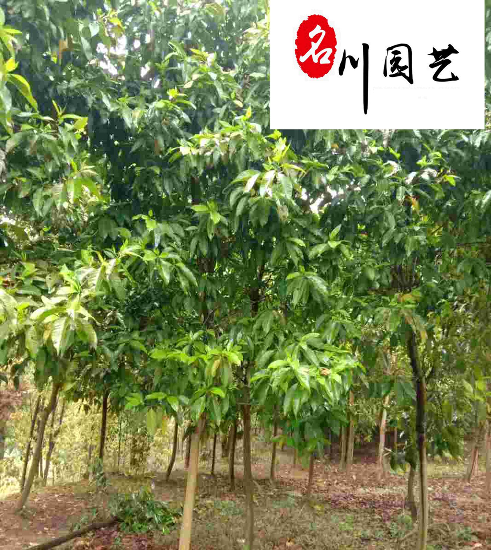 Sma(chn)؃r(ji)ɶSmml(f)ă(yu)