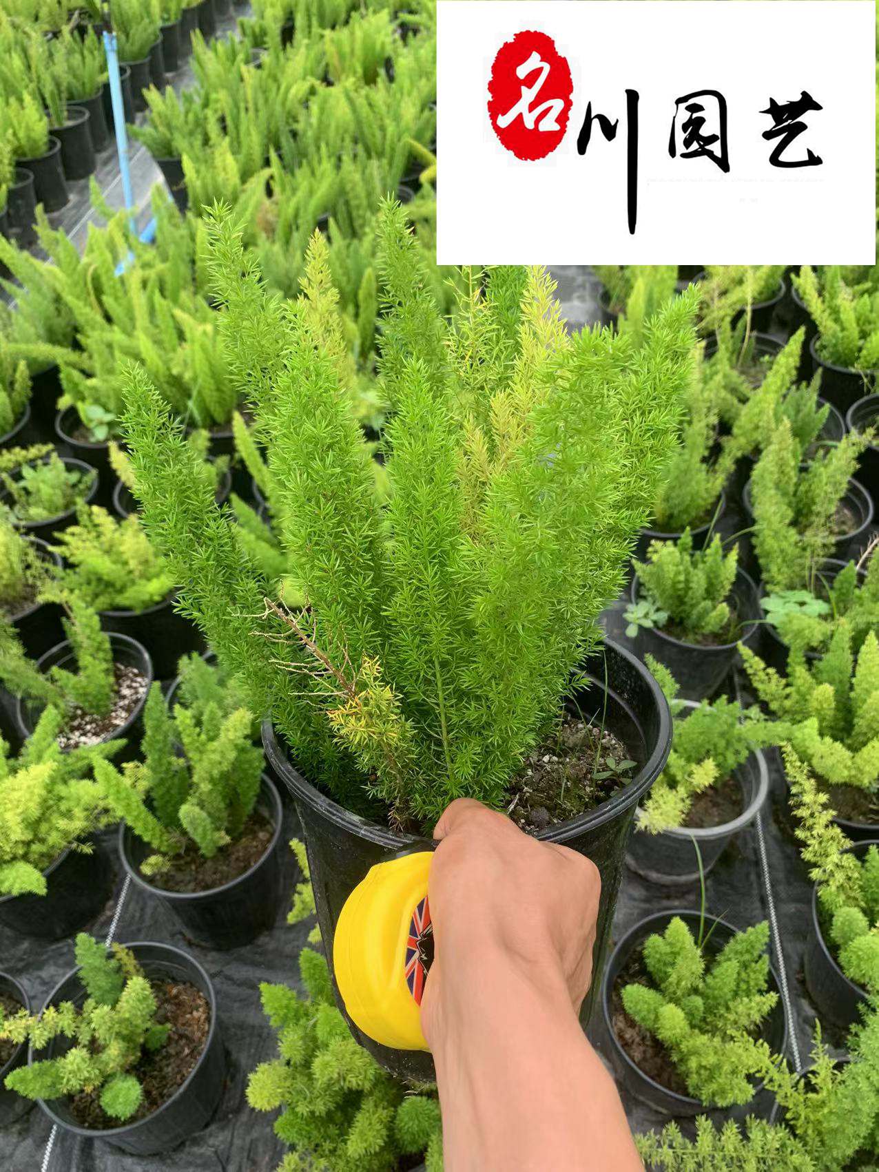 ĴβTԻءβTr(ji)ă(yu)