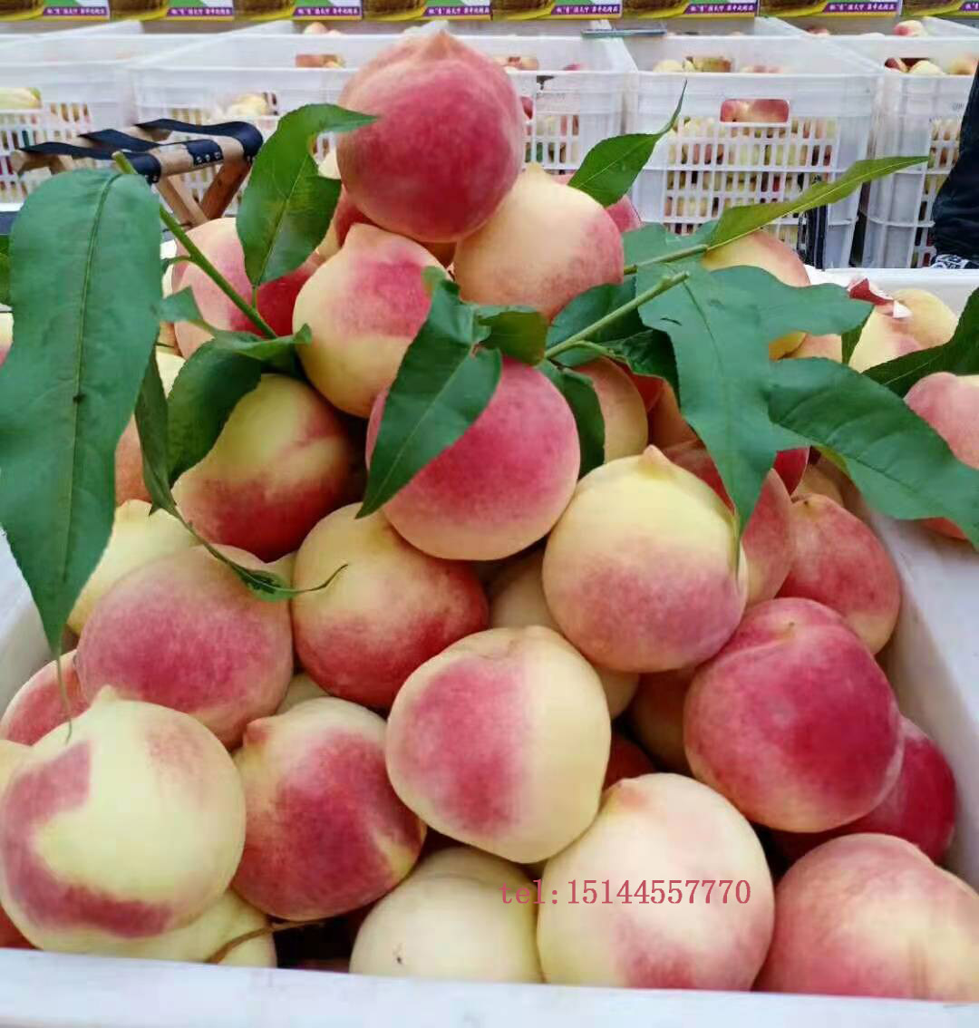 硢ҘͺҘ硢ؔе