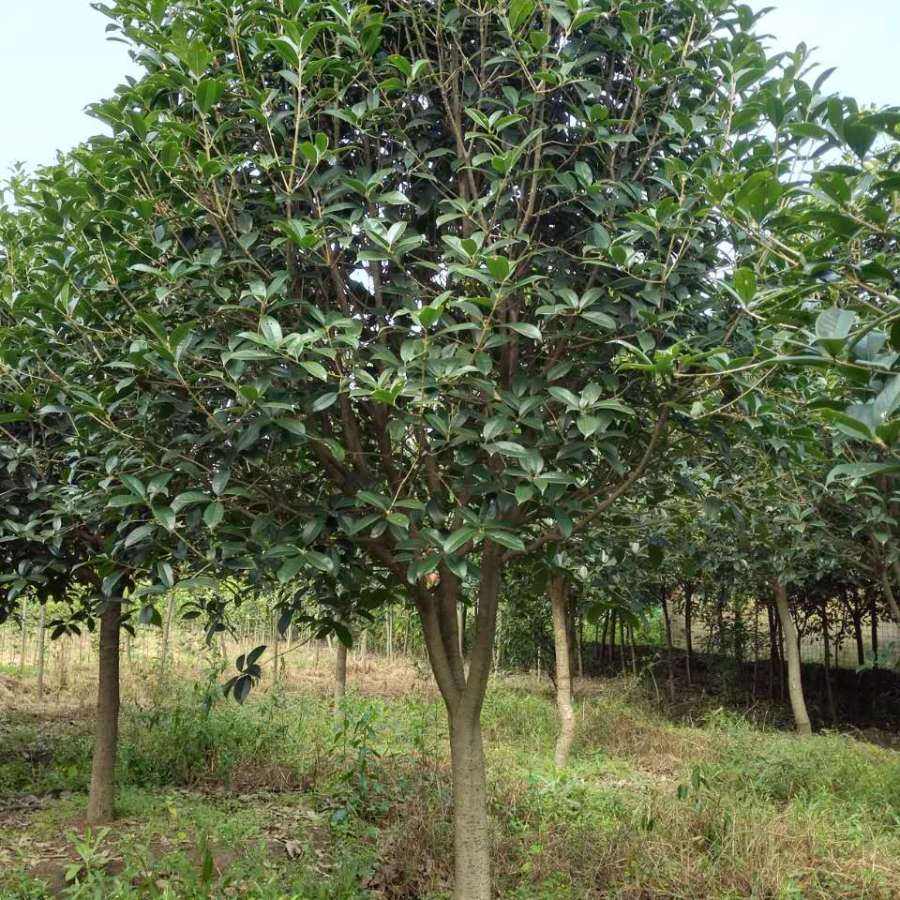 (d)U𻨵؏5-8ֱԻُľŃr(ji)