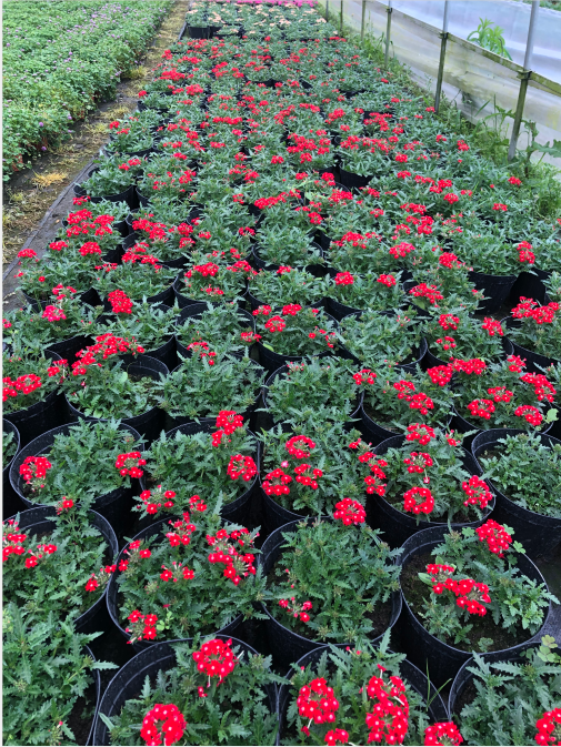 ļ䁵\R޲ݡŮŮѻl