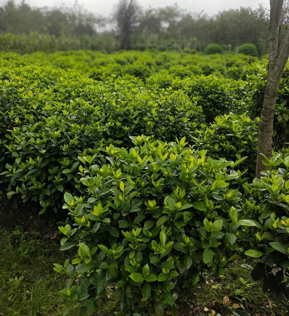 ~dӻ͡1״~dӻǧƷ~dӻl