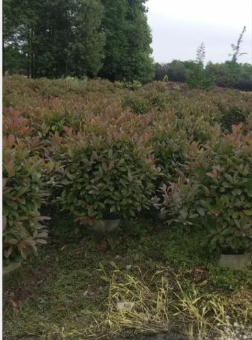 t~ʯ骴r(ji)񡢼t~ʯ骴ءt~ʯ骴l(f)