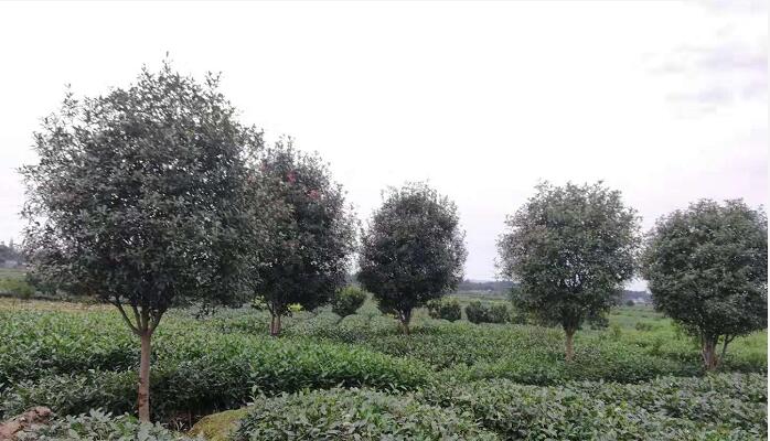 Ut~ʯ骈rt~ʯ骘̎13ּt~ʯ骃r