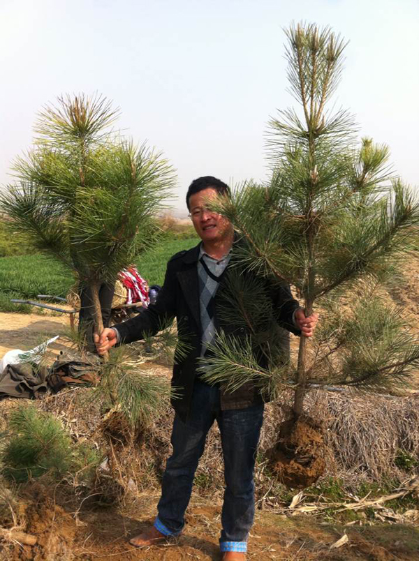 ӱҎ(gu)硢С繩(yng)ӱr