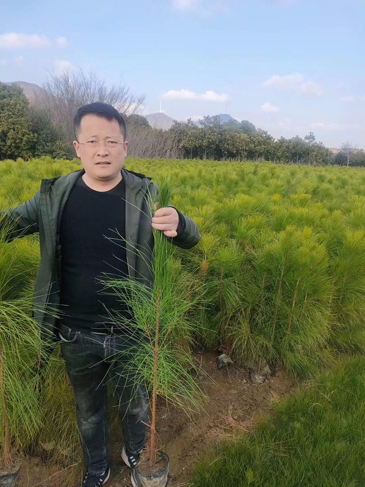 ̓r(ji)̎80-90ָ硢С硢ɘ