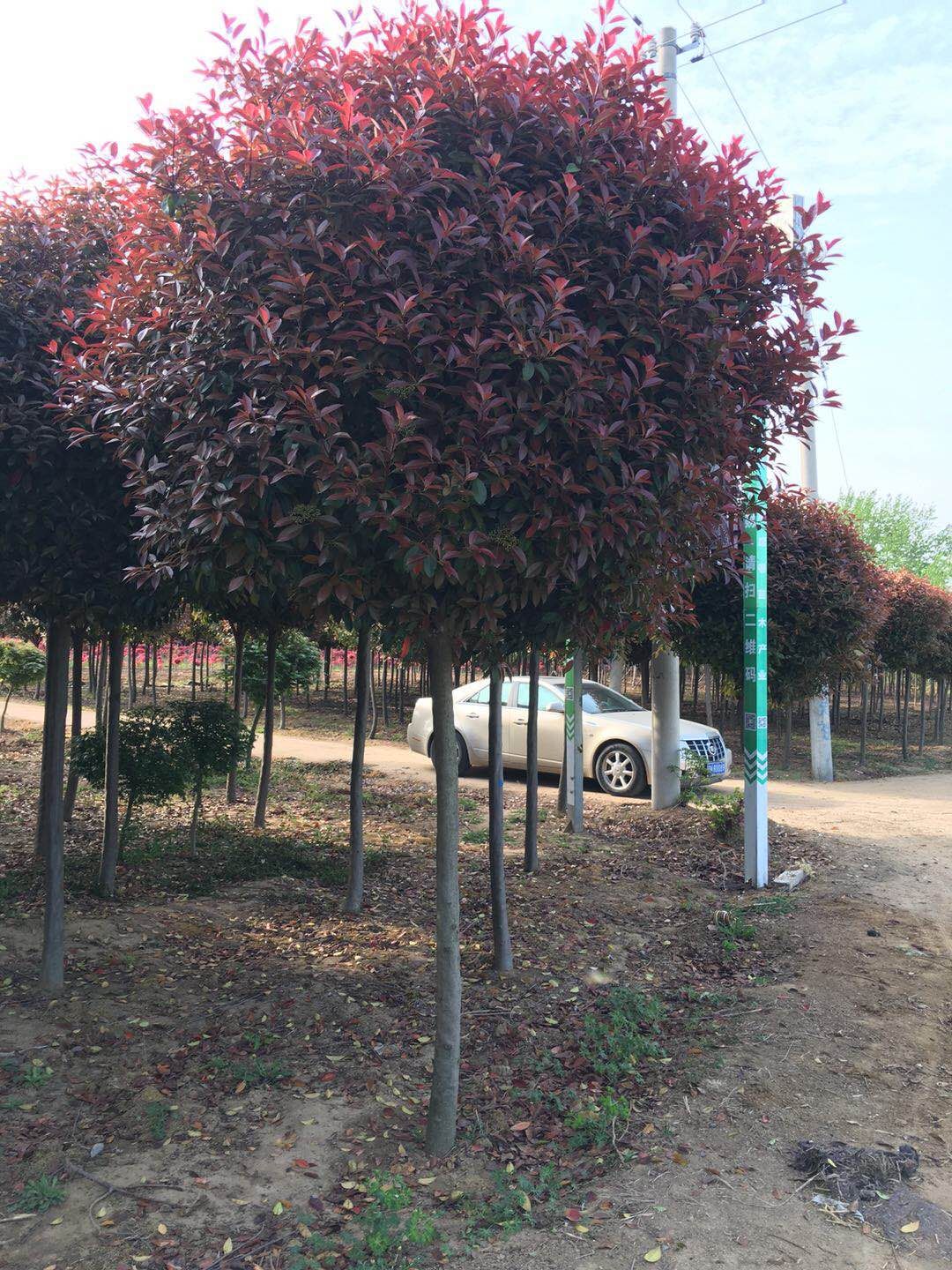 ꖸߗUʯ骻ֱNUʯ骈DƬt~ʯ骘r