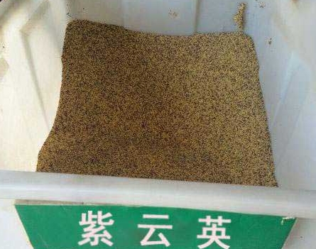 ӢNӻlӢNӈDƬӢNӃr