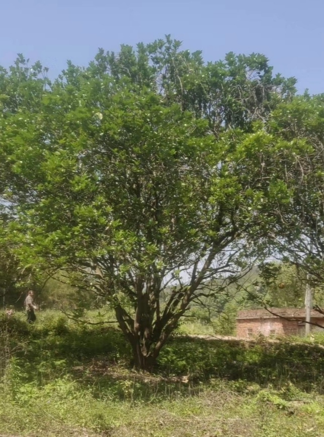 5׹7׹12ֈ(bo)r(ji)