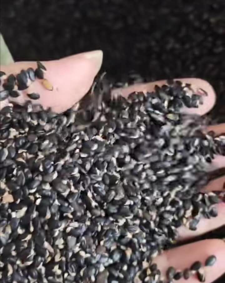 ϚgNӡ(dng)ϚgNӡϚgNl(f)