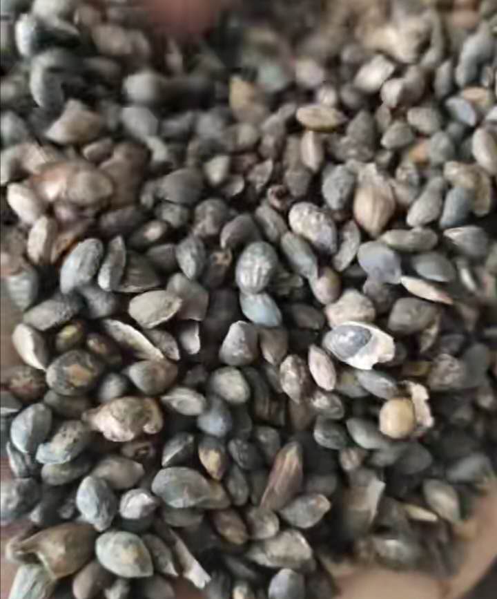 ɷNӡ(dng)ɷNӡɷNl(f)