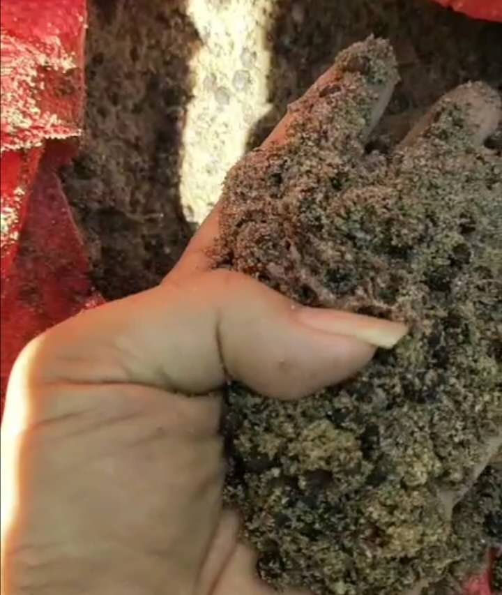 tɼNӡɳؼtɼNӡtɼNl