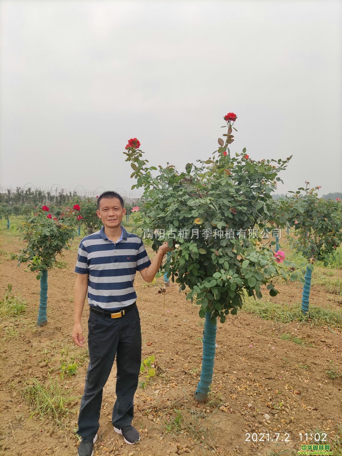 7֘¼ߗU¼Ř¼ԭaش