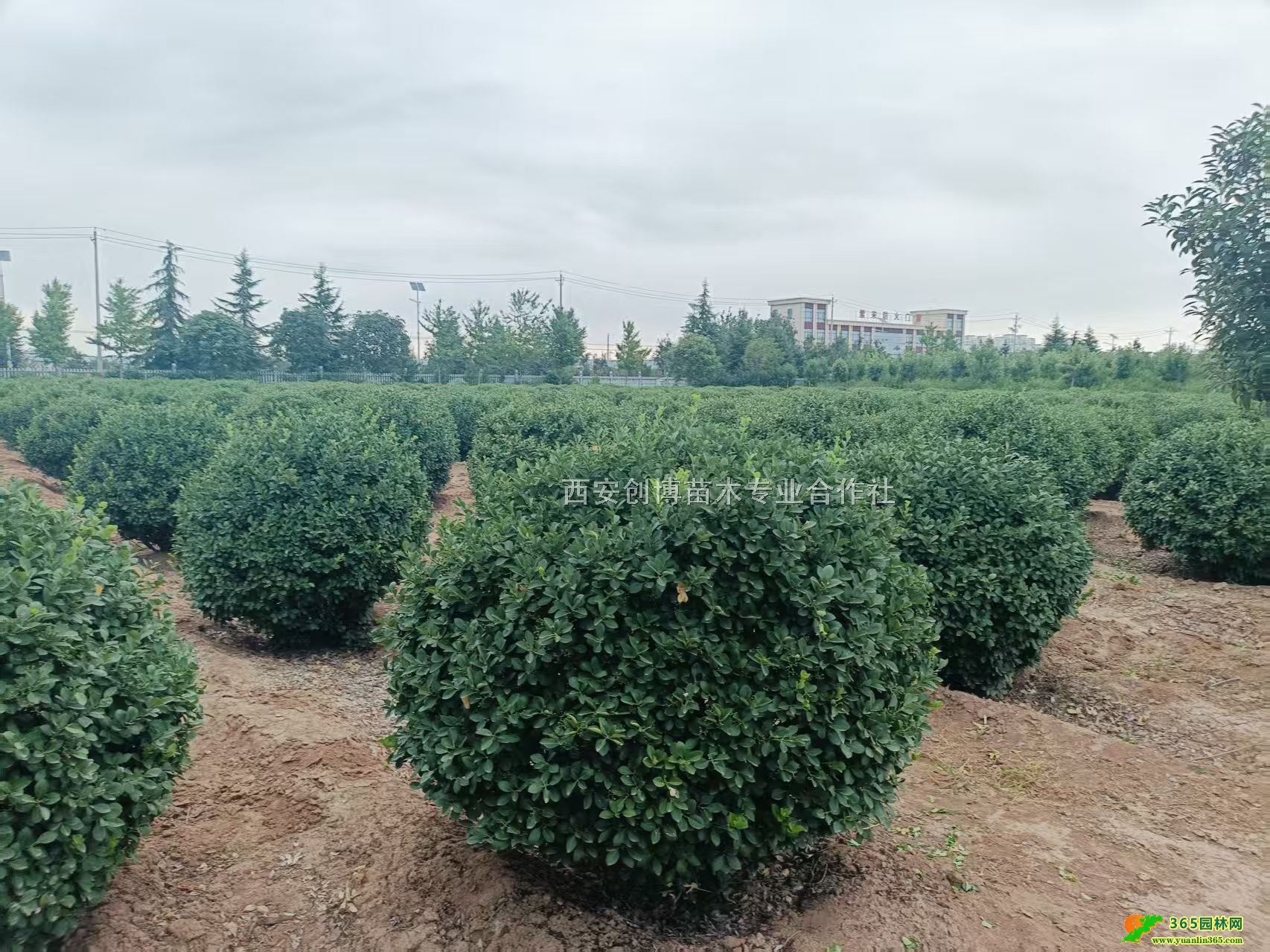 l(wi)ìa(chn)l(f)ڷ1-2l(wi)ìr(ji)l(wi)ìԻ