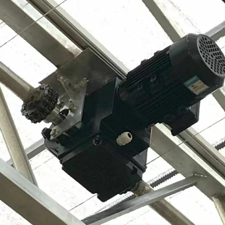 Ҵϵy늙CĻ늙CĻ_ͨLϵyp늙C