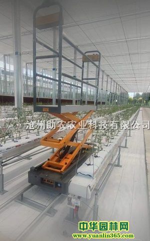 ժ܇늄܇܉ժ܇Ҳժ܇