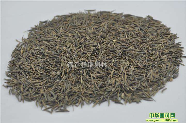 l˹շNӡ˹շNӡ˹շN