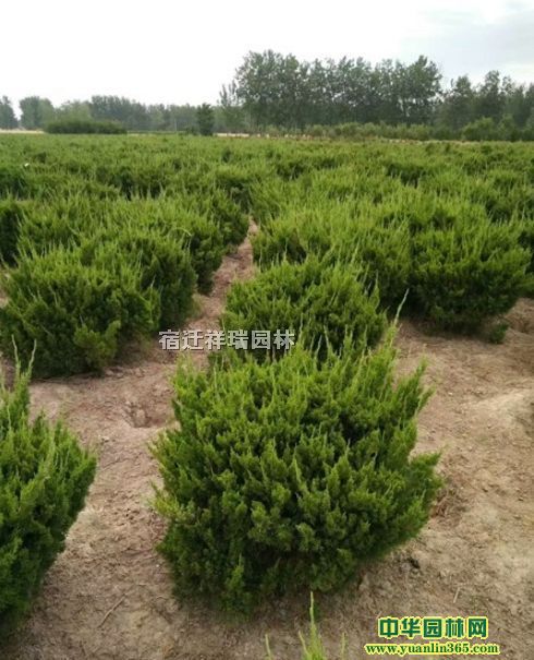 ءr񡢈DƬaء30200ֹ