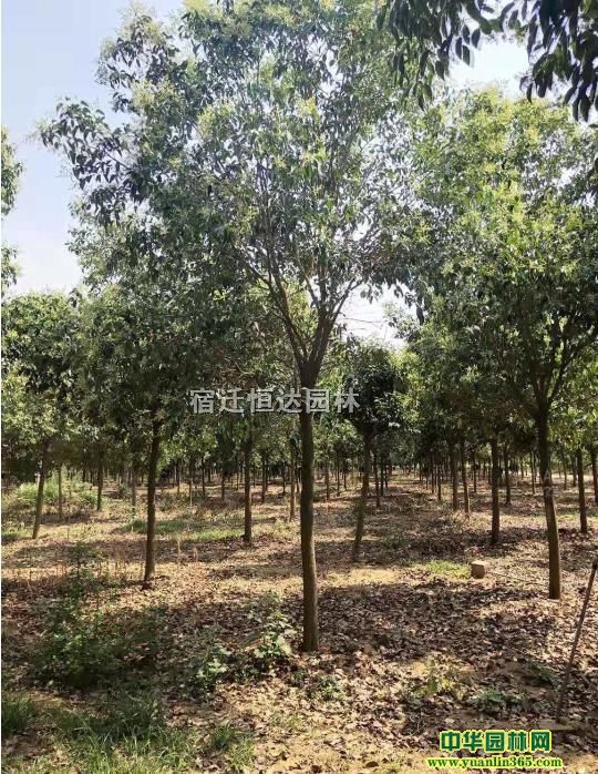 1-1.5׸ߗUŮؑ~Ůؑľ