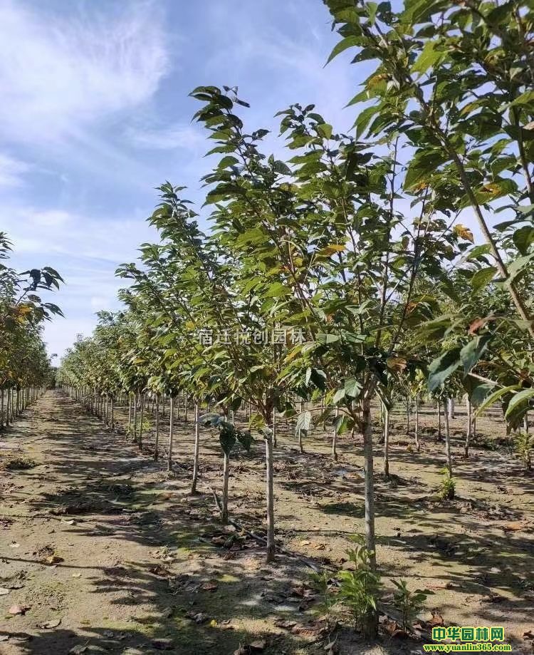 30-60ָߗUѡ~