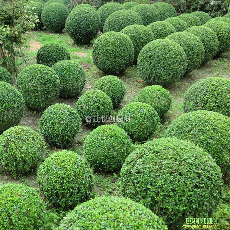 С~ŮؑС~Ůؑڷ80-200