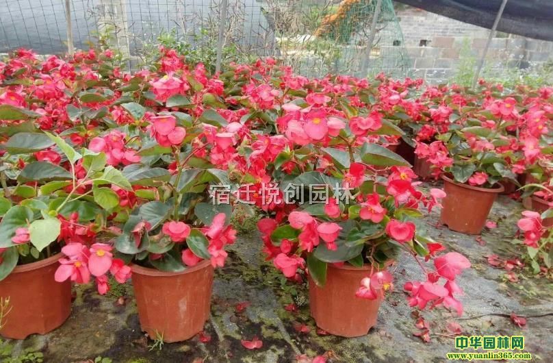 15-25ļĮa(chn)ذl(f)؛