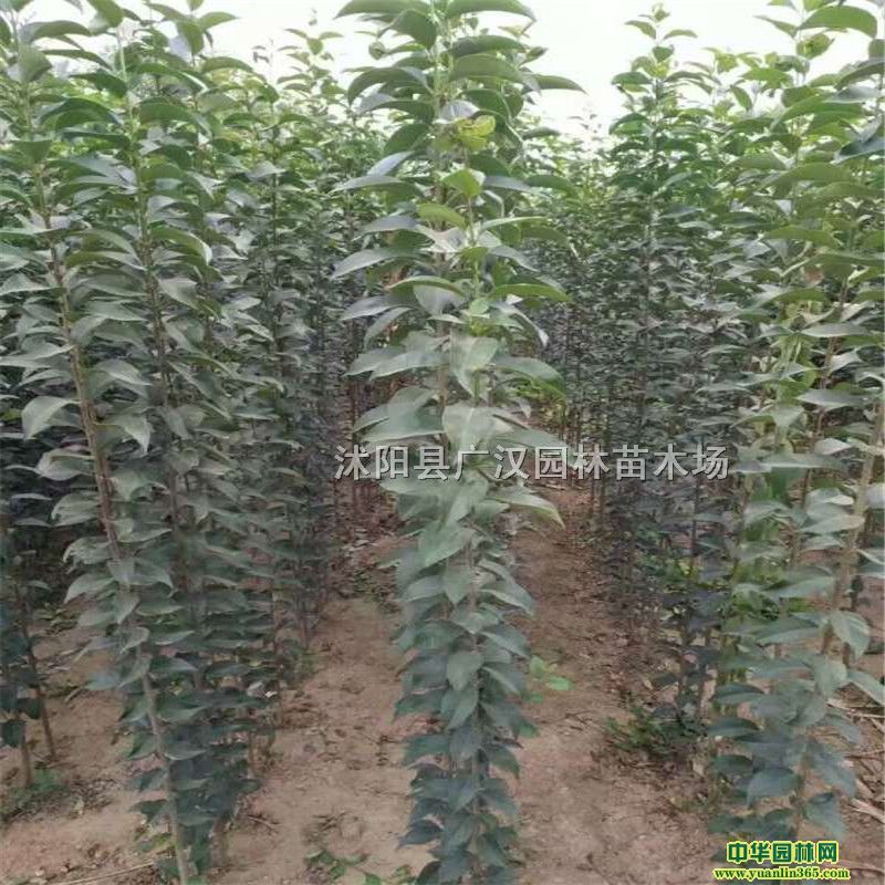 ~ŮؑԻؽK؄e~ŮؑF璁