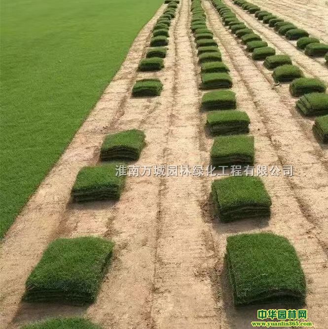 RƺRƺRl(f)ֱN