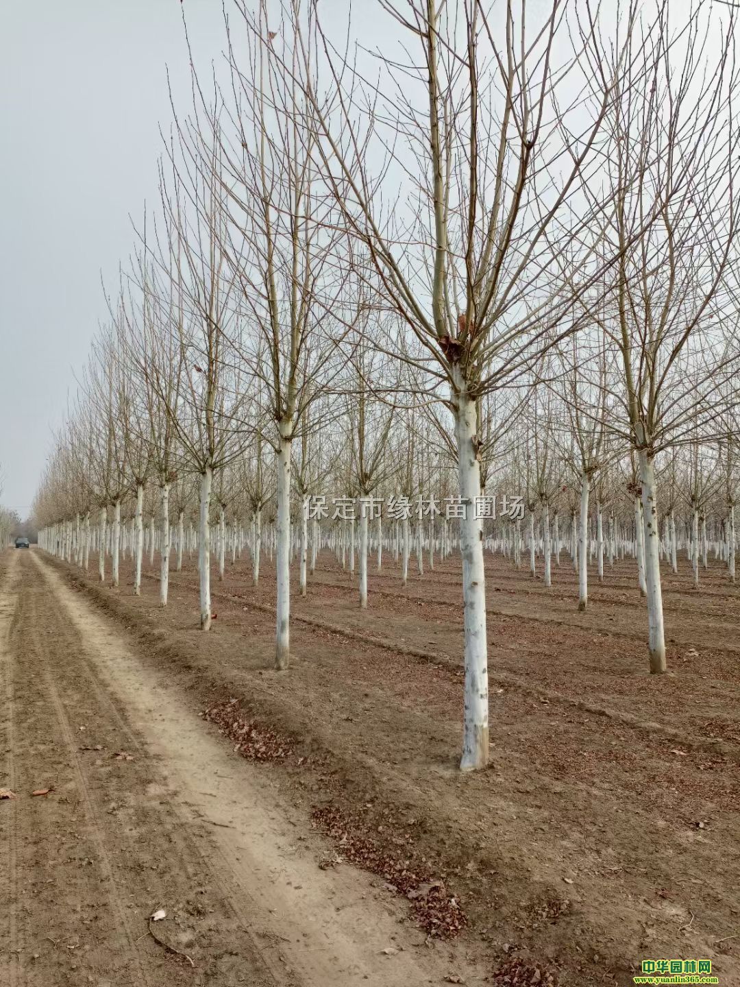 18ַͩl18ַͩ̎18ַͩr񡢷ͩ