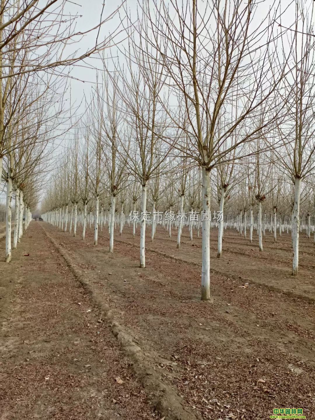 19ַͩ19ַͩ̎19ַͩl(f)ͩ