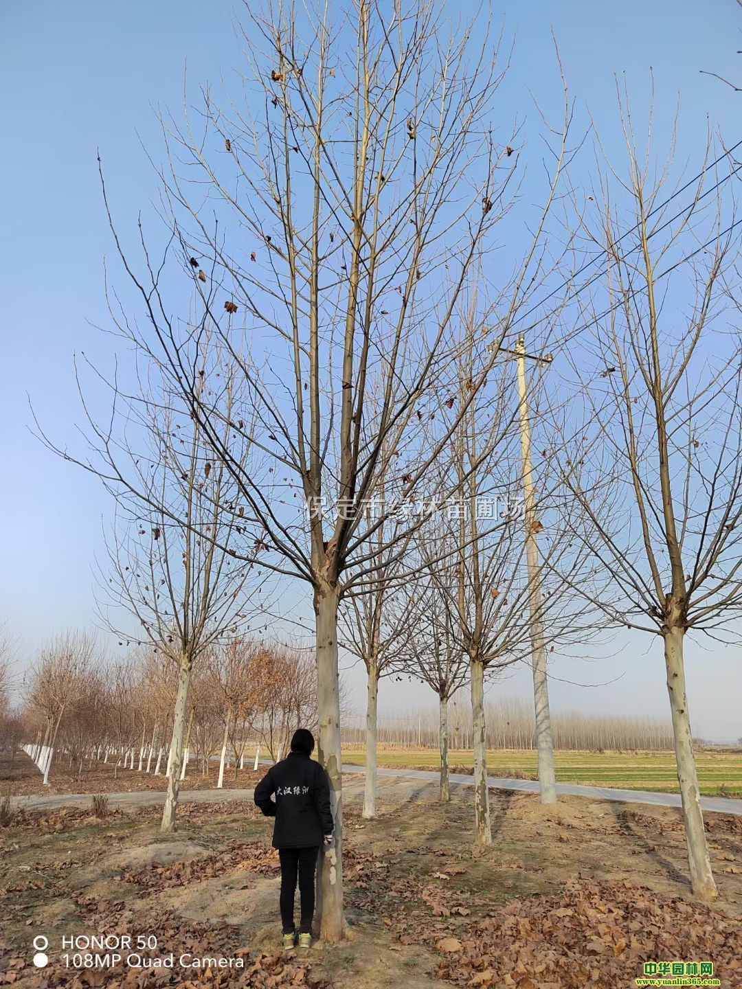 24ַͩ24ַͩ̎24ַͩr񡢷ͩ