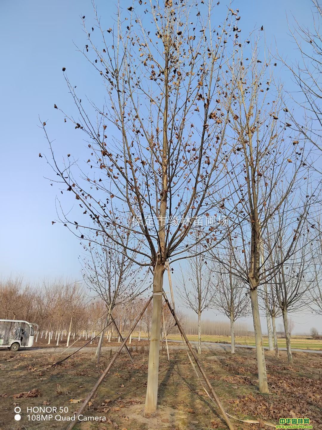 25ַͩl25ַͩr25ַͩ̎ͩ