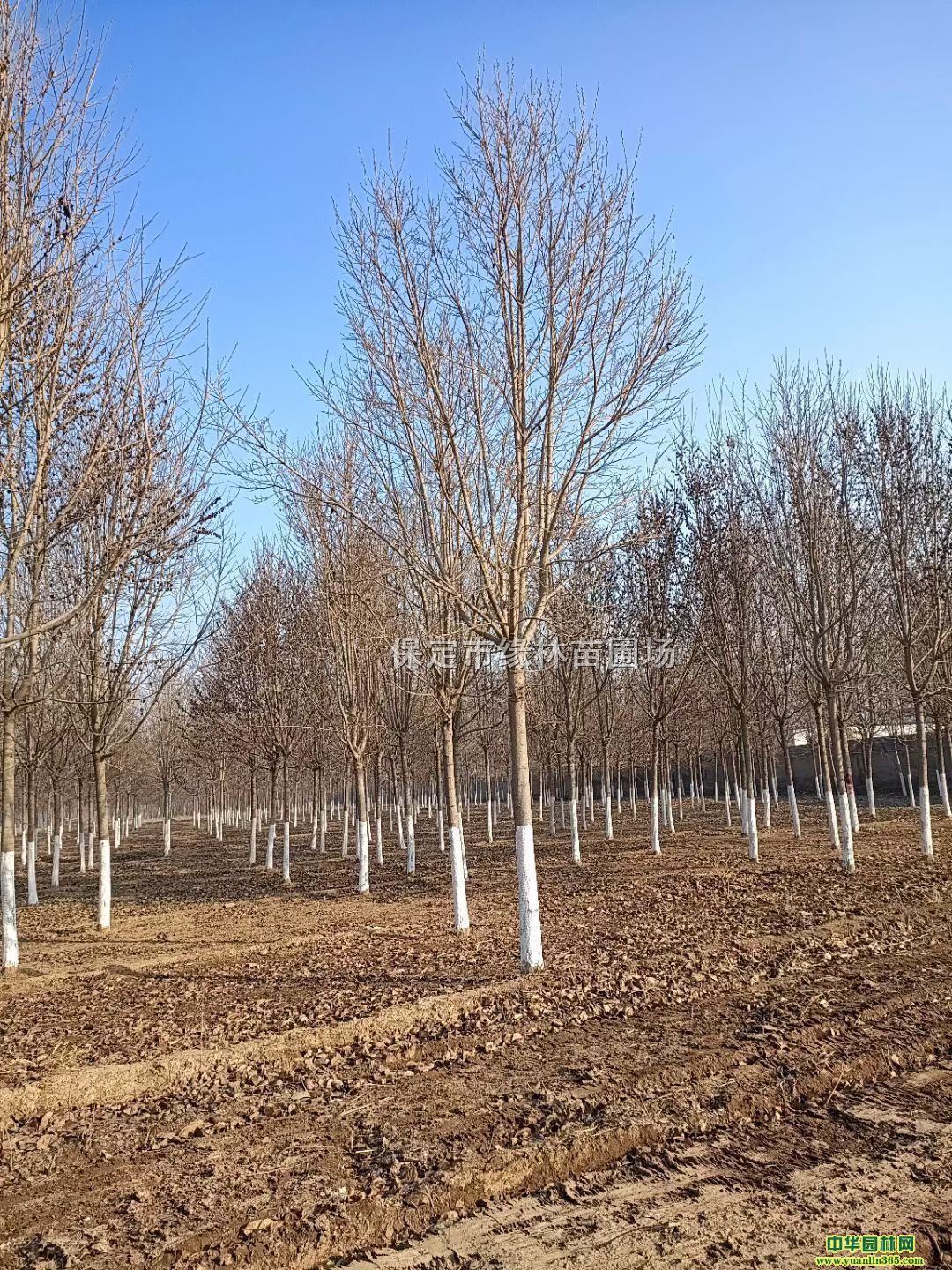 18ֶ̎18ֶ18ֶكr(ji)