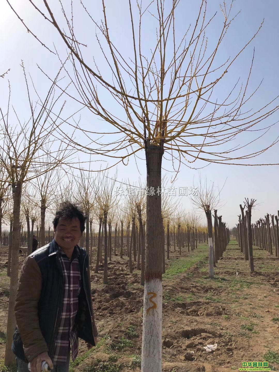 17ֽ֦l17S𻱏Sҡ17ֽ֦r