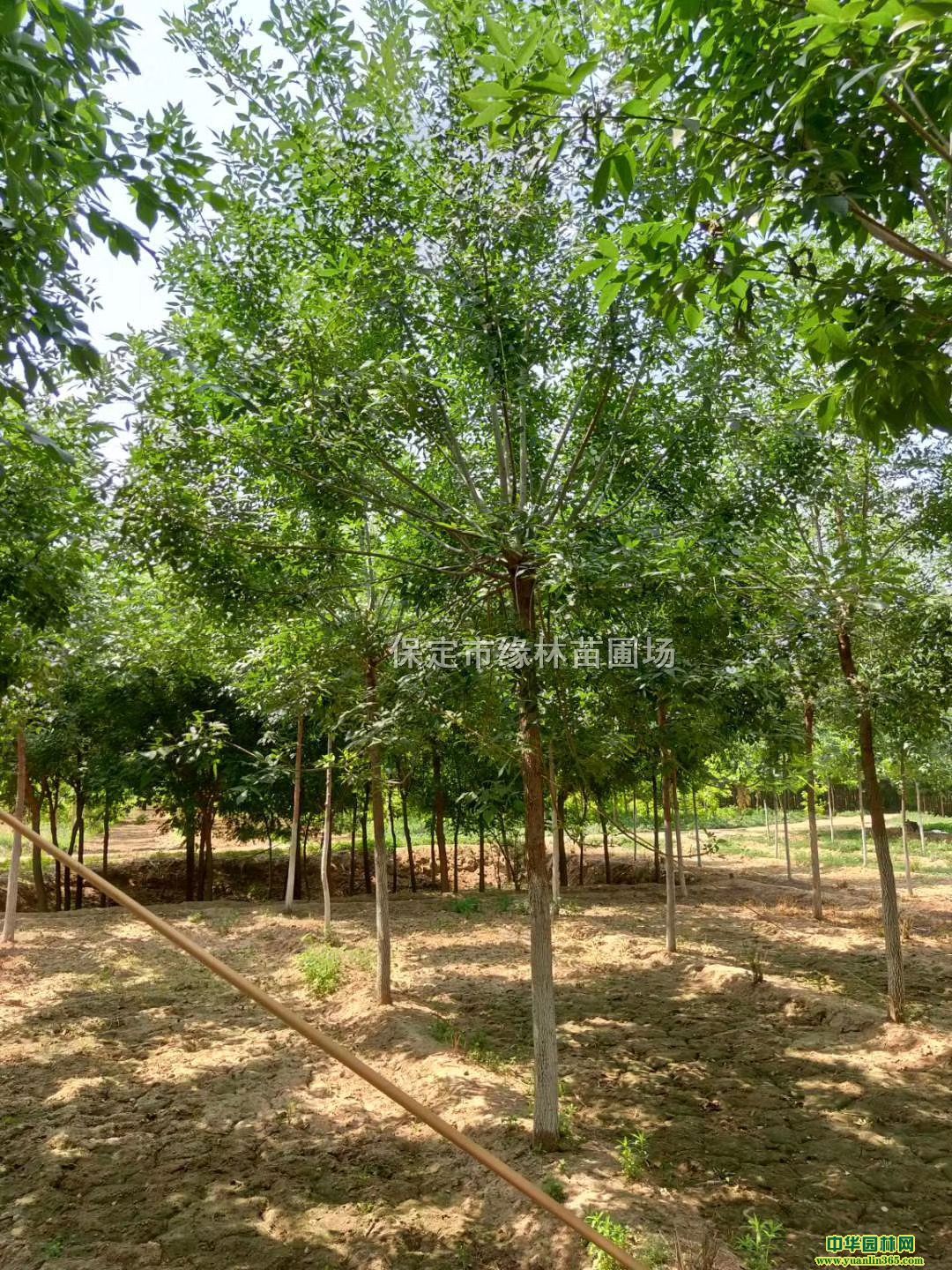 7ְϞSҡ7ְϞ̎7ְϞr(ji)