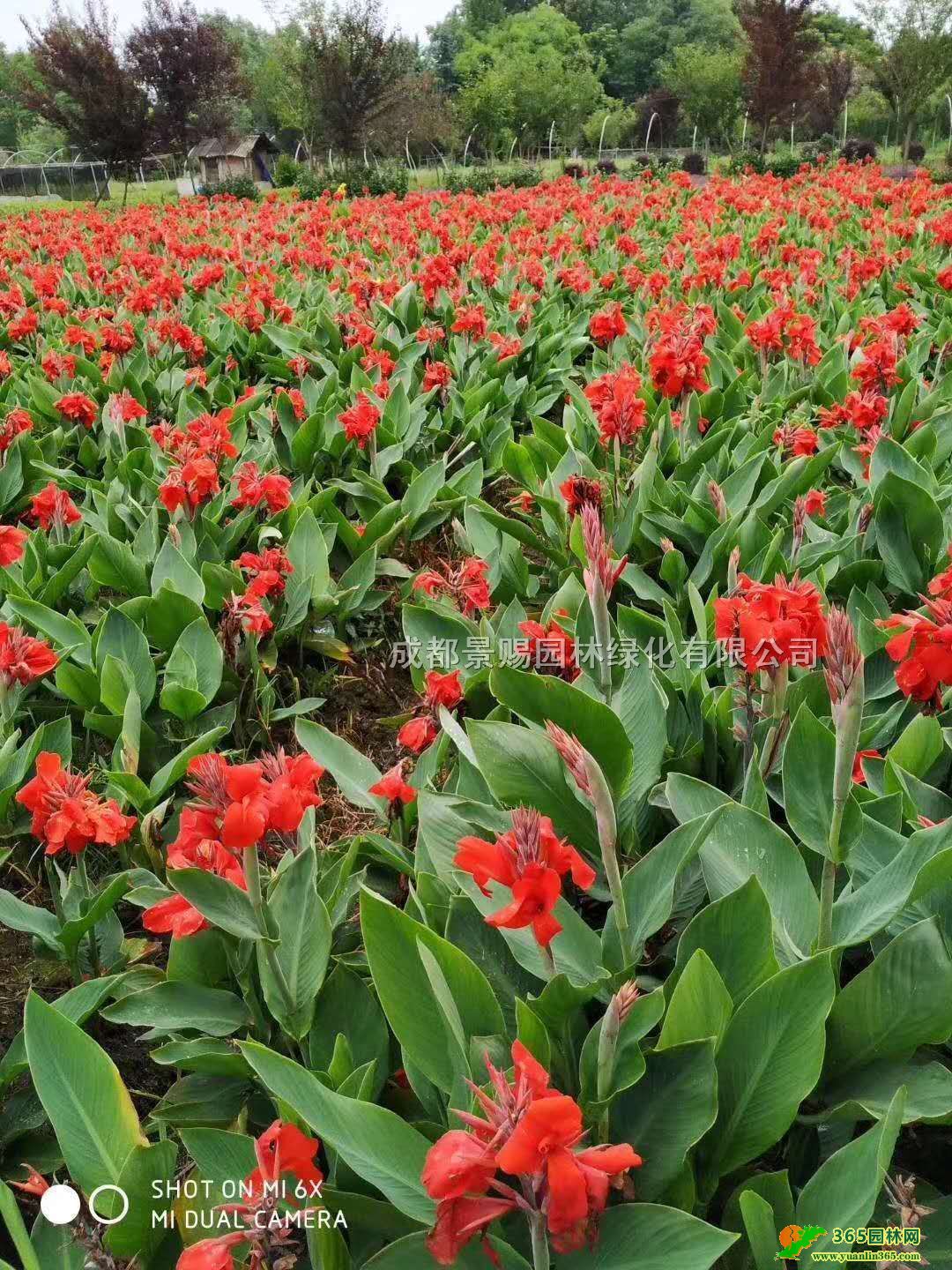 ˽l60-80-1׸˽l~˽