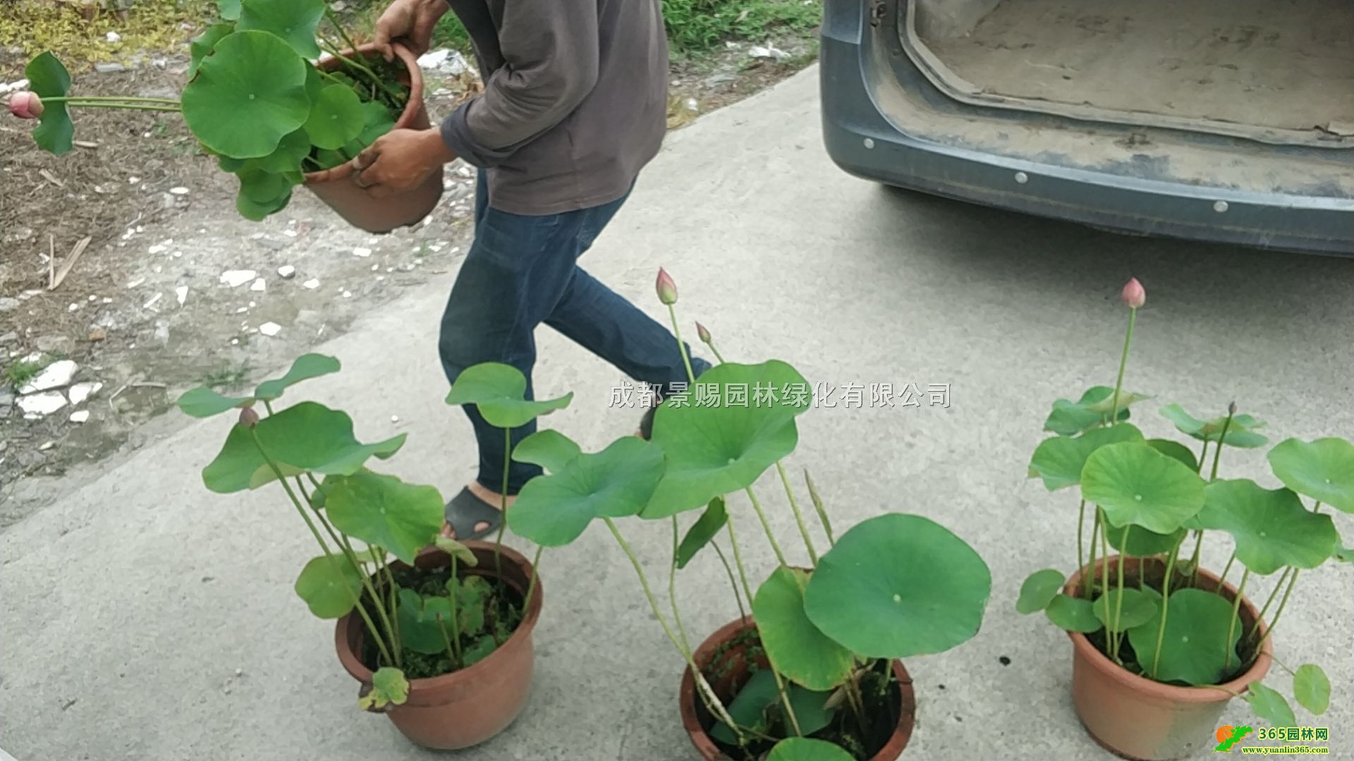 ؑcĴɻءlɻ硢ɼӁɻ˯ɏ