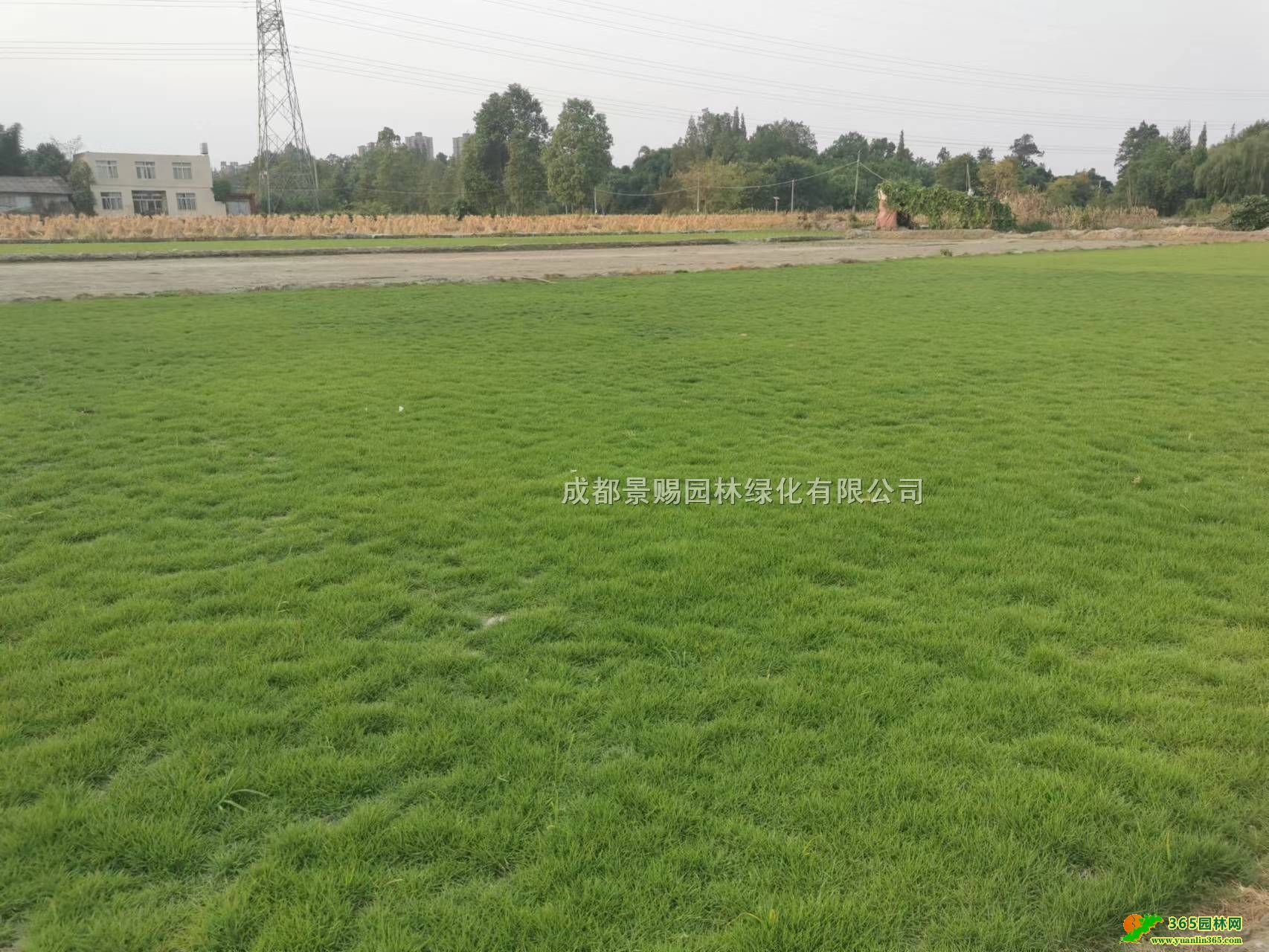 _lءĴ첥ƺlɶĽƺl