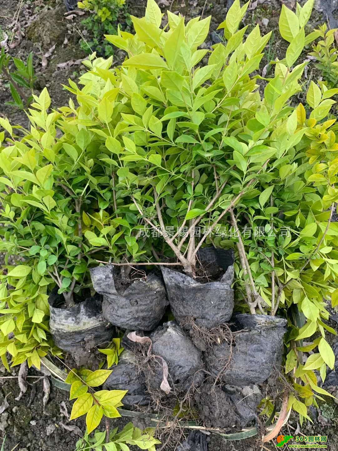 30-40߽~ŮؑС~Ůؑl16~Ůؑ