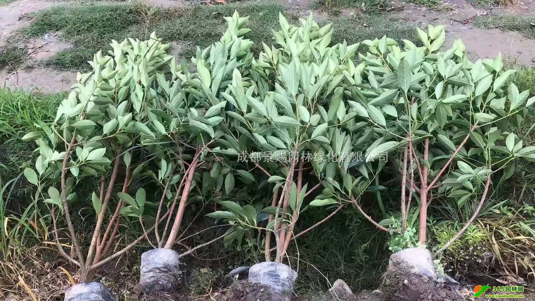 (gu)ءl(f)1-1.5׸߷(gu)硢2׸18