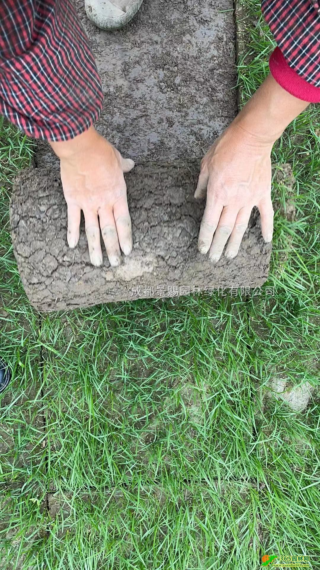 Ĵ_ݲƺlء_2̖ݲƺļ첥ݲƺ