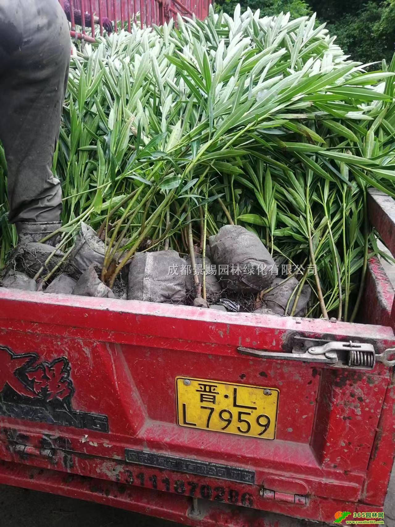 AԻءAl1-1.5׸ߊAҴl