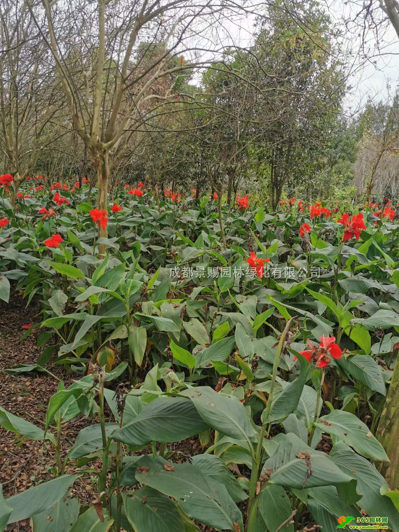 ˽ء40˽l50˽硢Ĵ˽