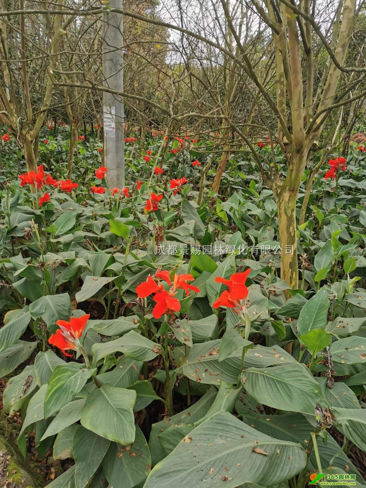 ؑc˽С硢60-80˽F˽˽