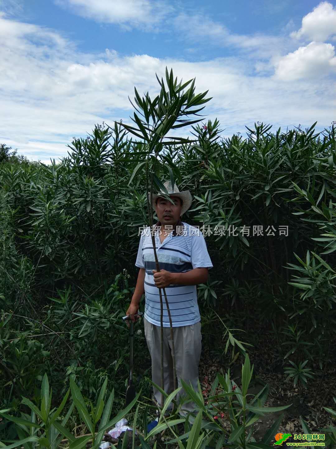 1.5׸ߊAҵػ\tAlءAһ