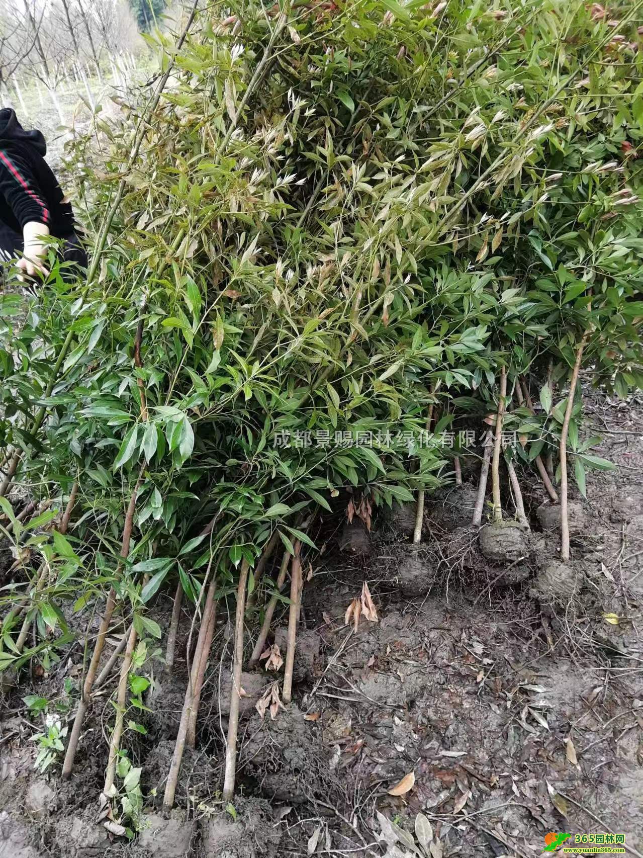 С~E骴󱭻С~E16ĴɶС~E骻